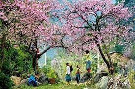 Sapa Bicycle Holiday to Dien Bien Phu 7 Days